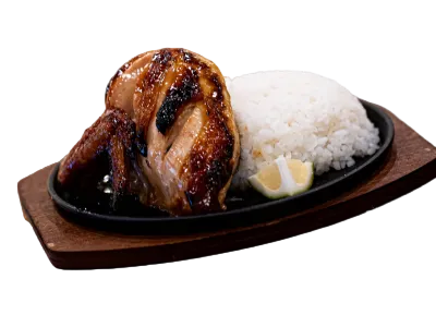 210 TERIYAKI CHICKEN BREAST